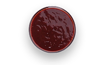 Sauce BBQ